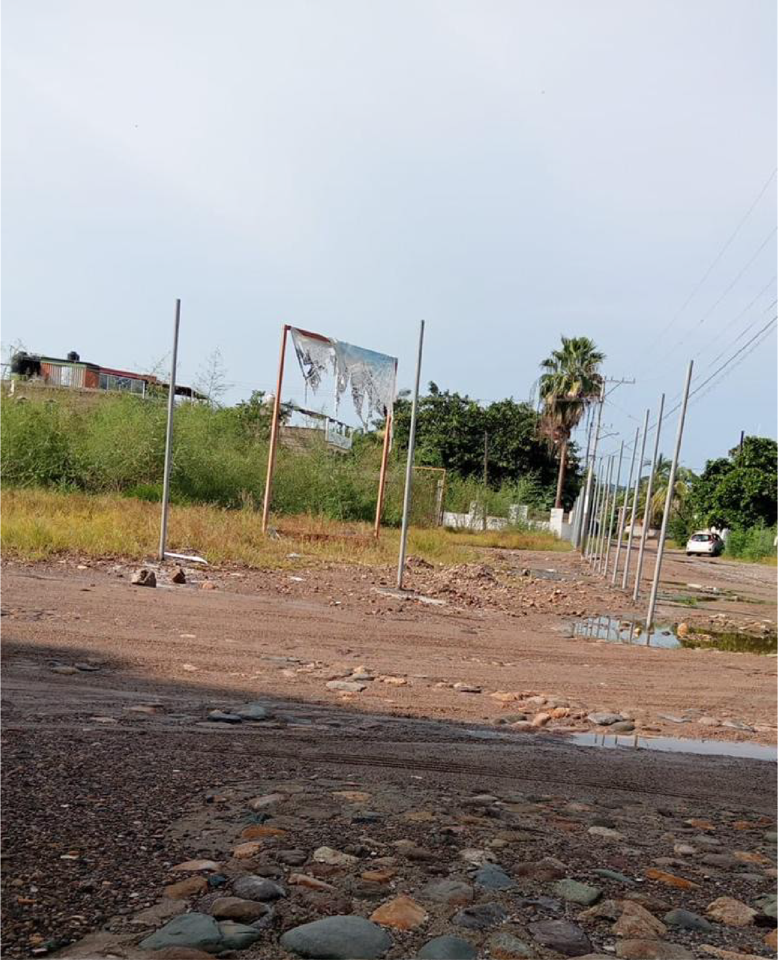 Progreso cantomar 2025 Noviembre